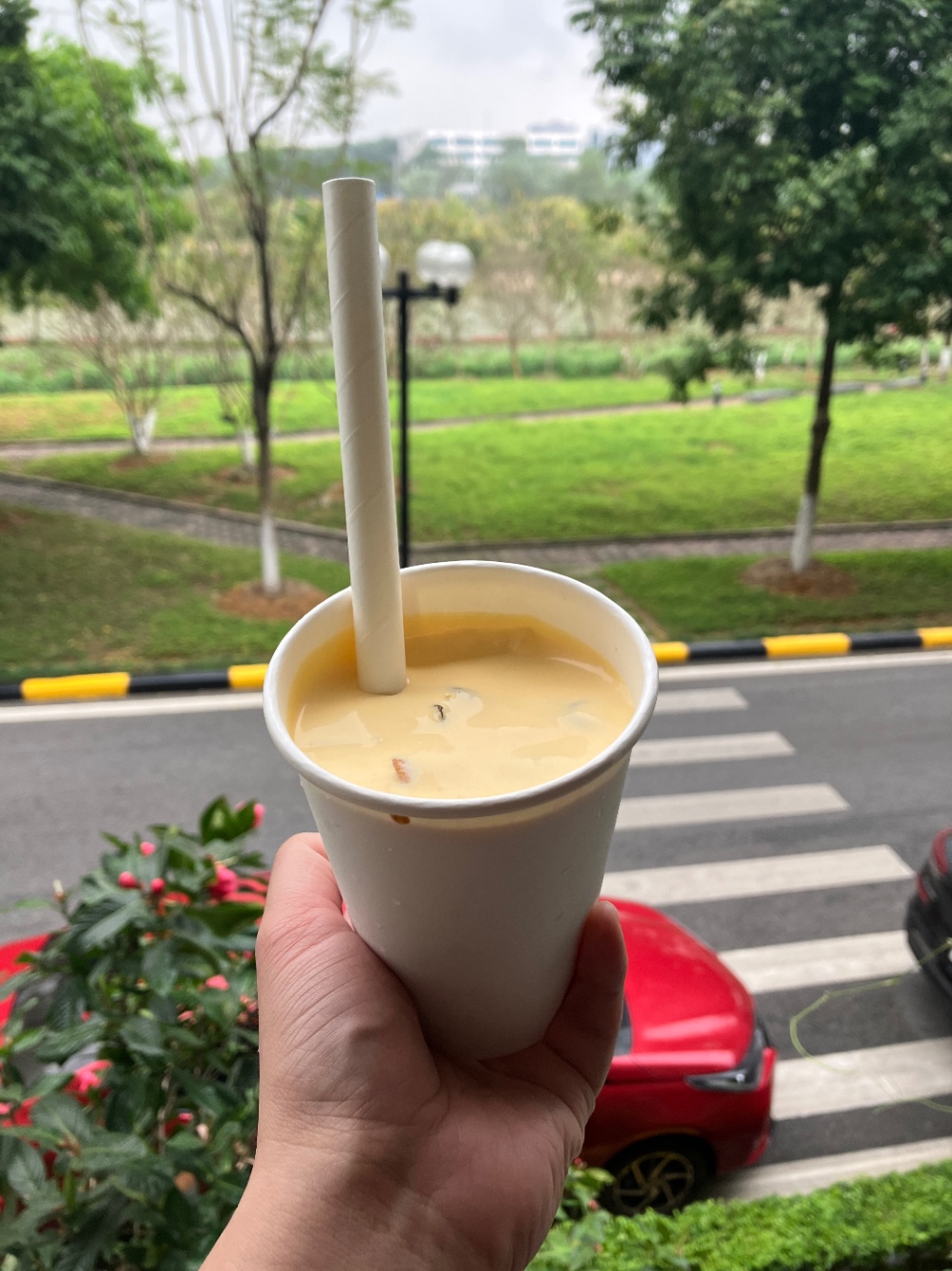 エッグコーヒー。ベトナムコーヒー美味しいけど、エッグコーヒーは格別だった