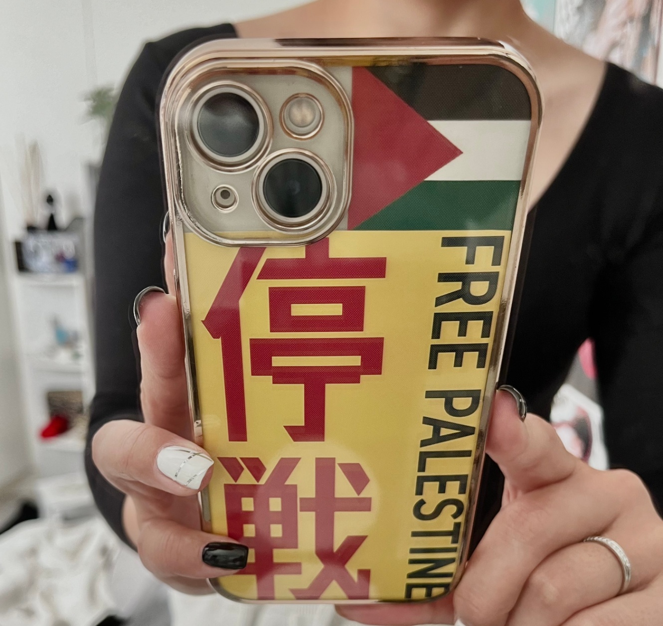 スマホのケースに「FREE PALESTINE」「停戦」という文字が書かれたカードと、パレスチナの国旗を挟んでいる様子が取られた写真。