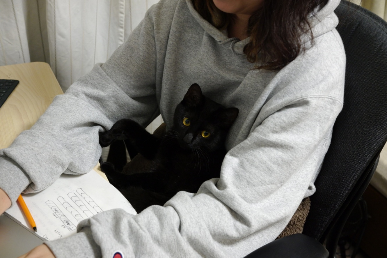 当時の在宅勤務のようす