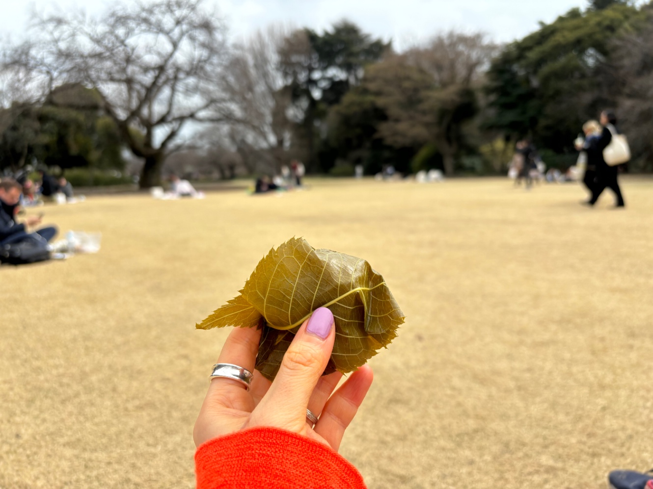 桜餅