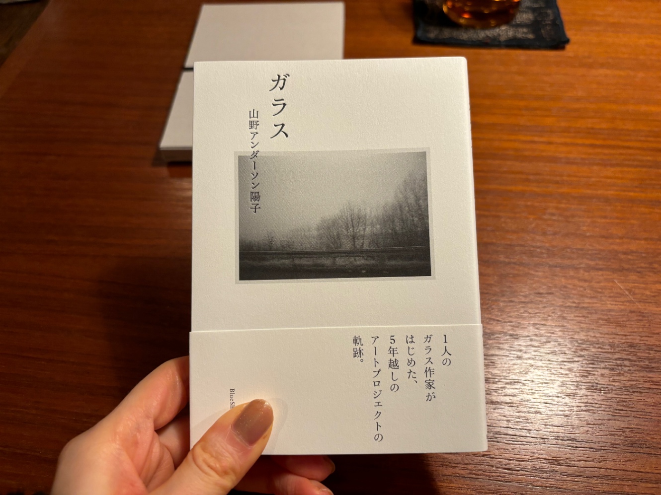 書籍・山野アンダーソン陽子『ガラス』