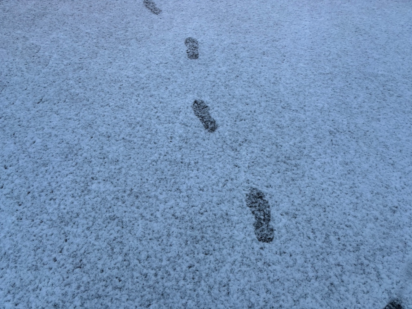 雪が降った地面についた足跡