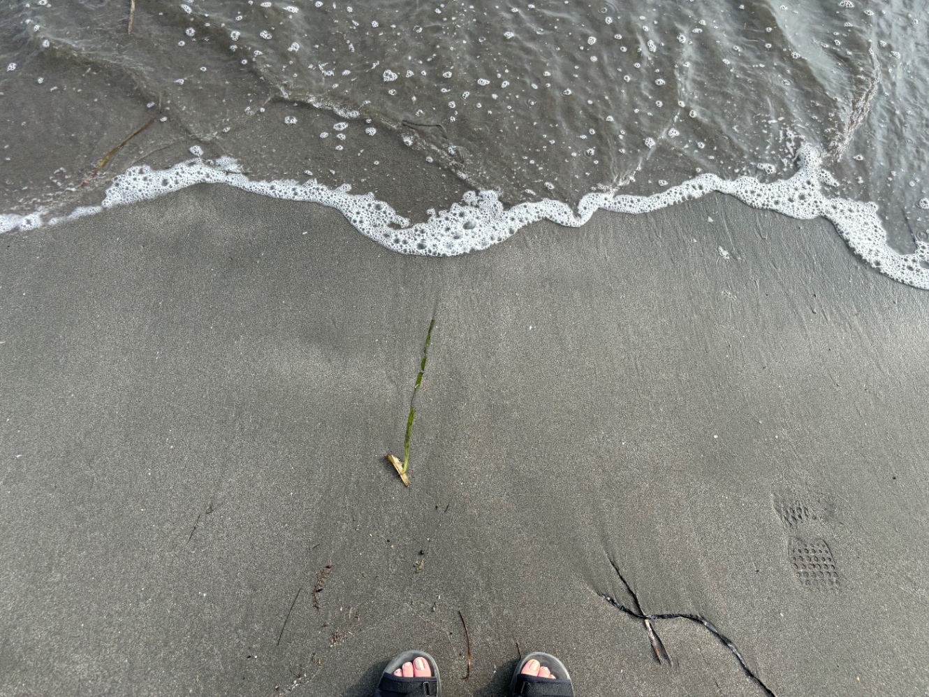 海が寄せてきて濡れている砂とサンダルを履いた人のあしもと