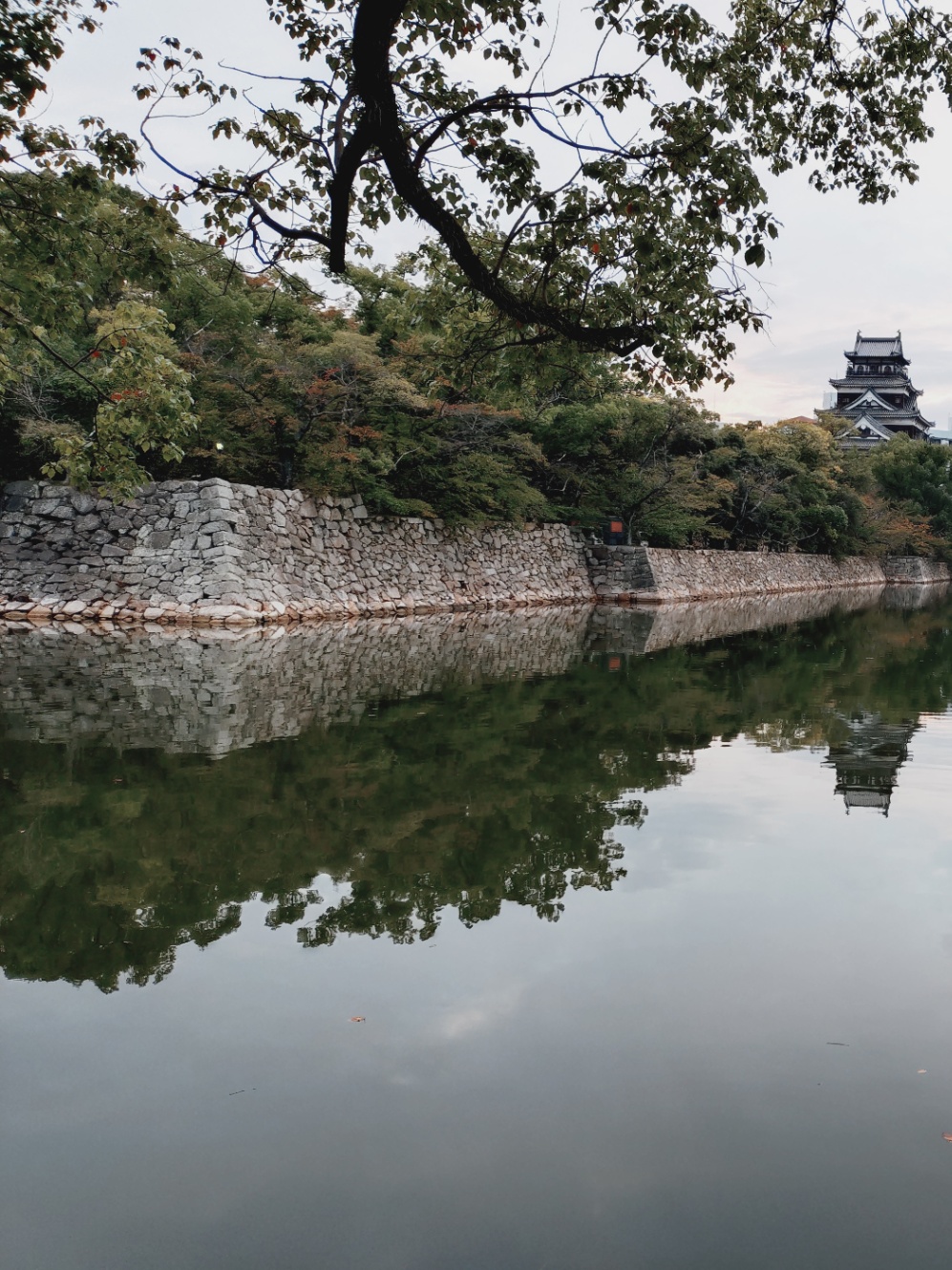 広島城と石垣とお堀