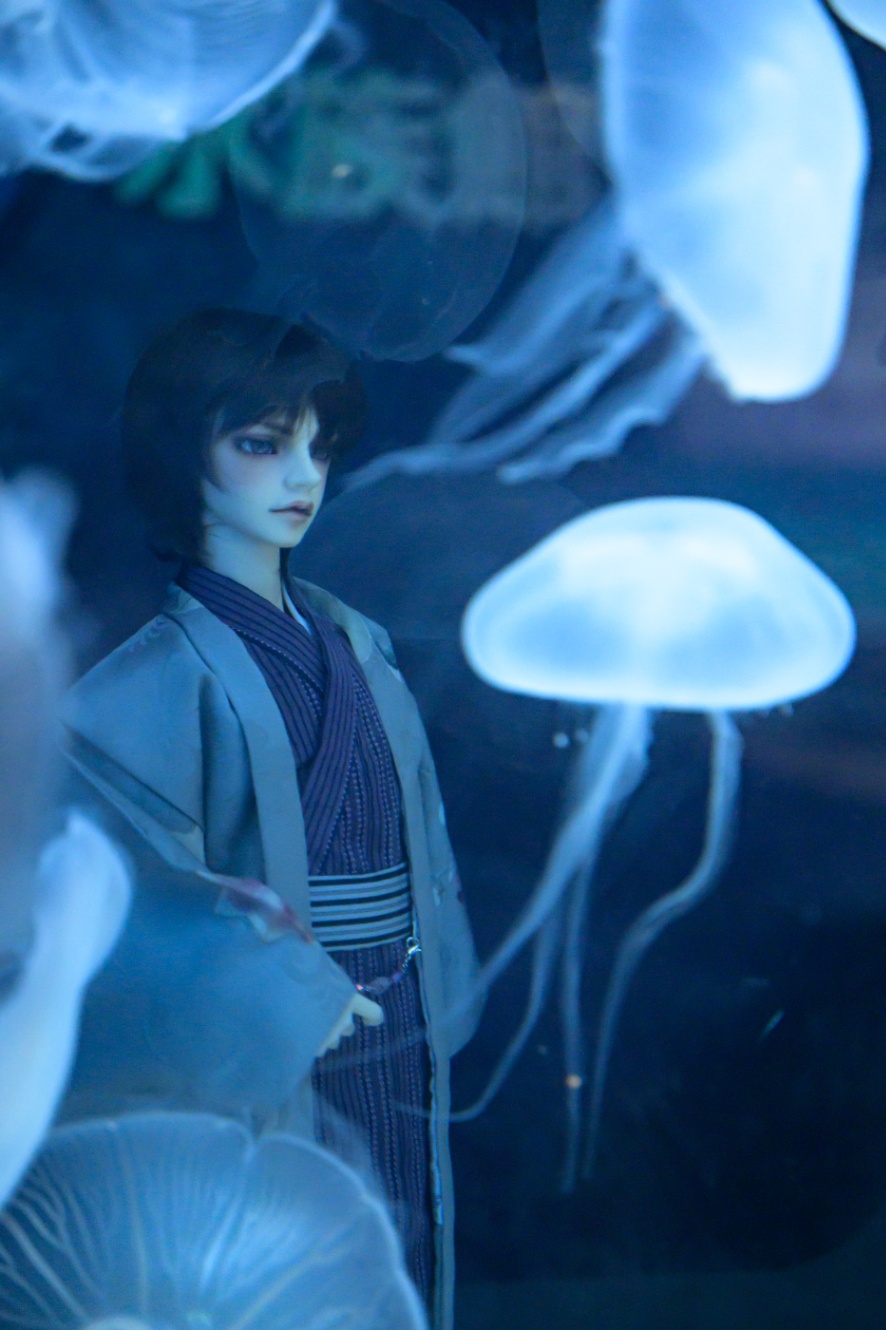 クラゲとドールの写真。手前にクラゲが泳いでおり、水槽越しに男子ドールが写っている