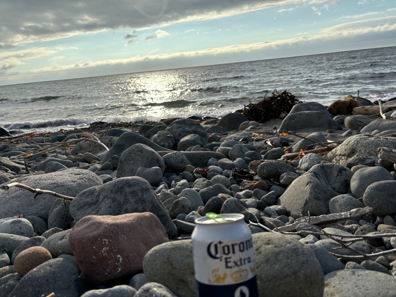 コロナビールに海を見せているところ