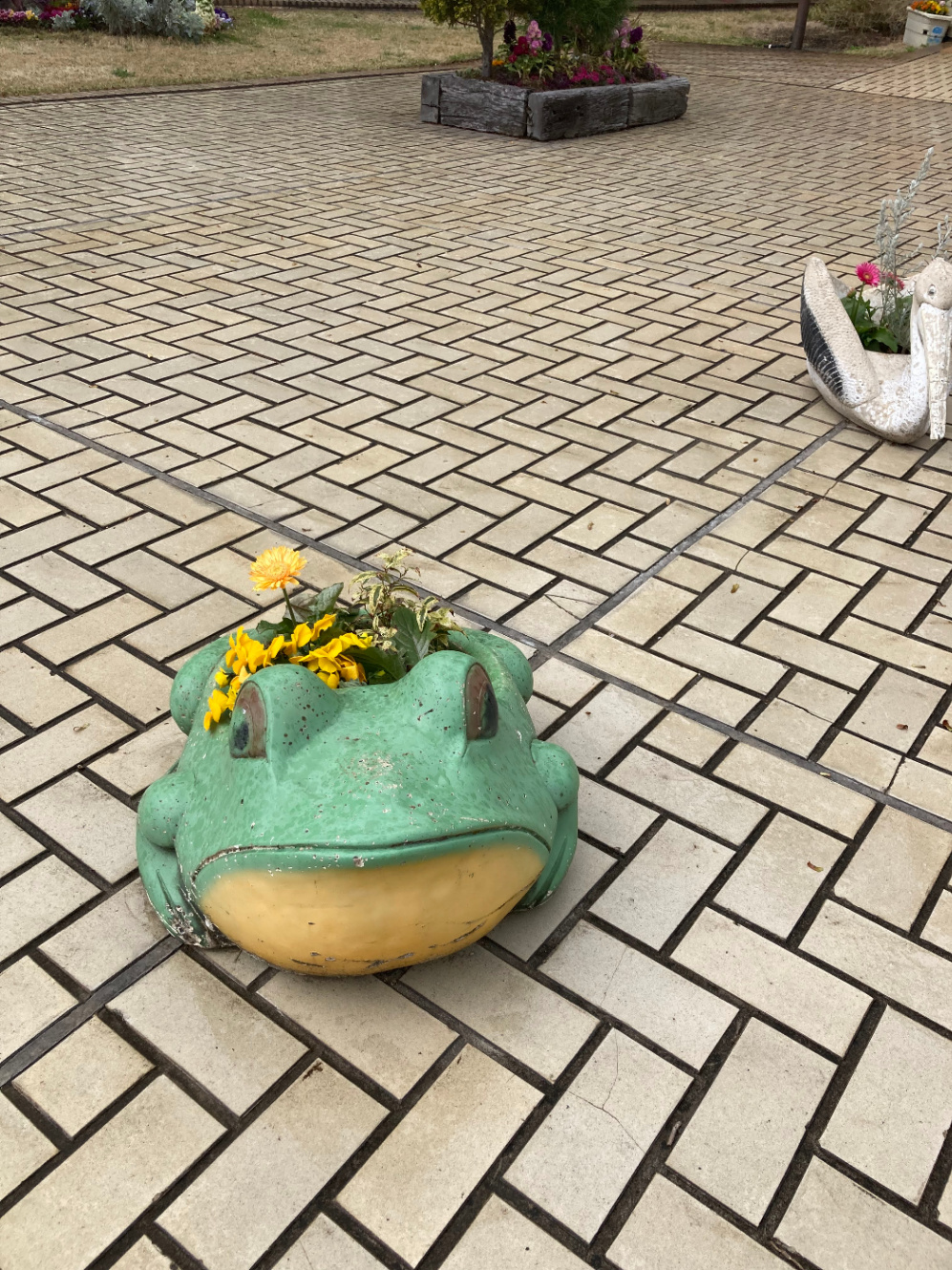 緑のカエルの形の植木鉢、雨で濡れたタイルの外の床に置いてある、黄色の花が植わっている
