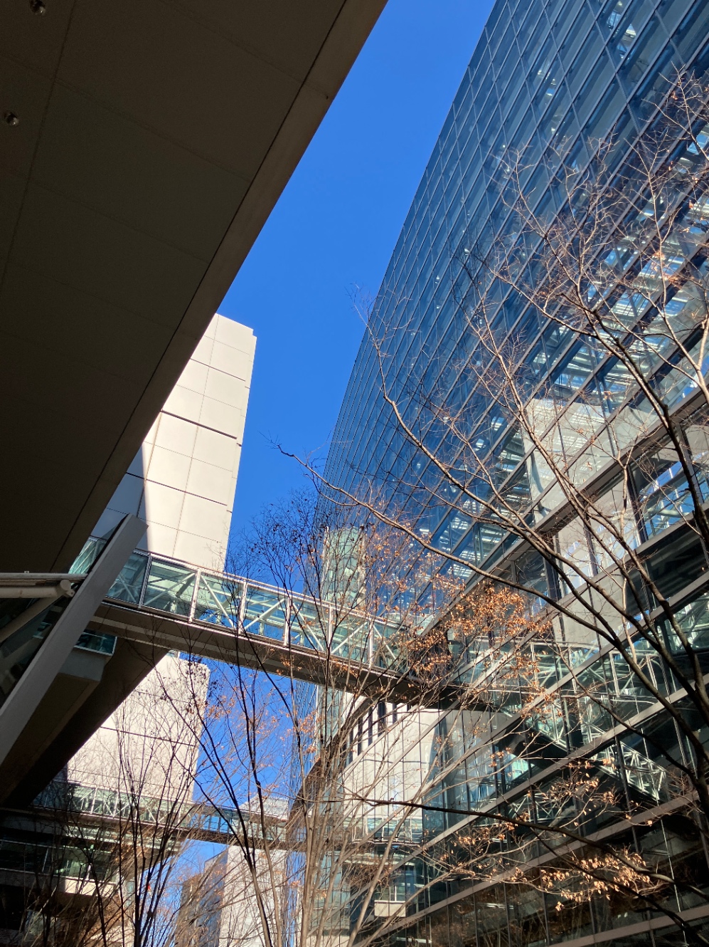 国際フォーラムの風景写真。建物の間から青空が見える