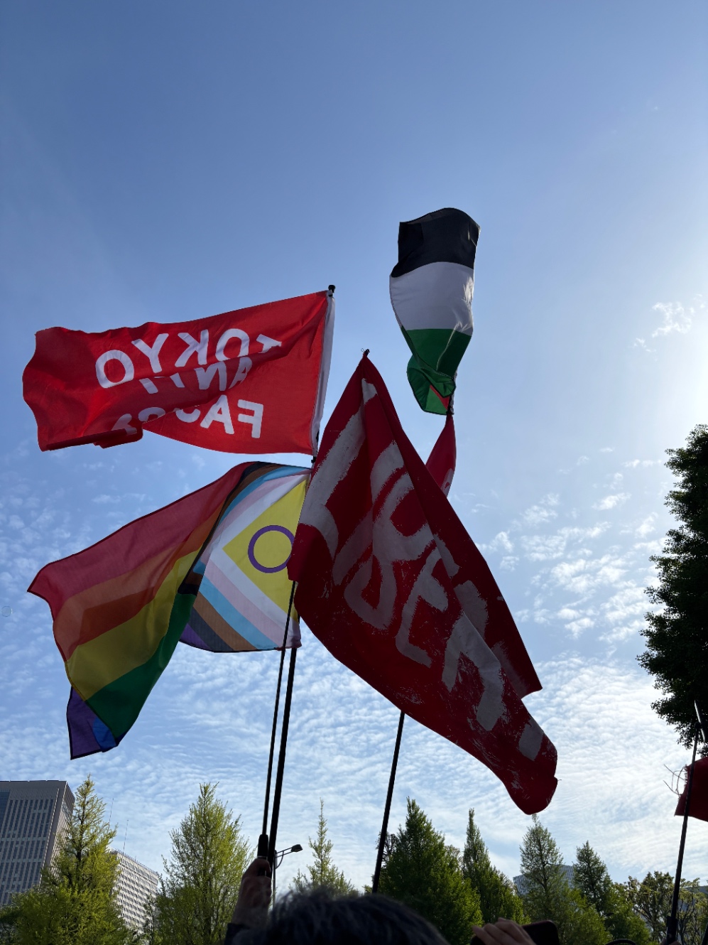 デカフラッグが何本も青空を舞う