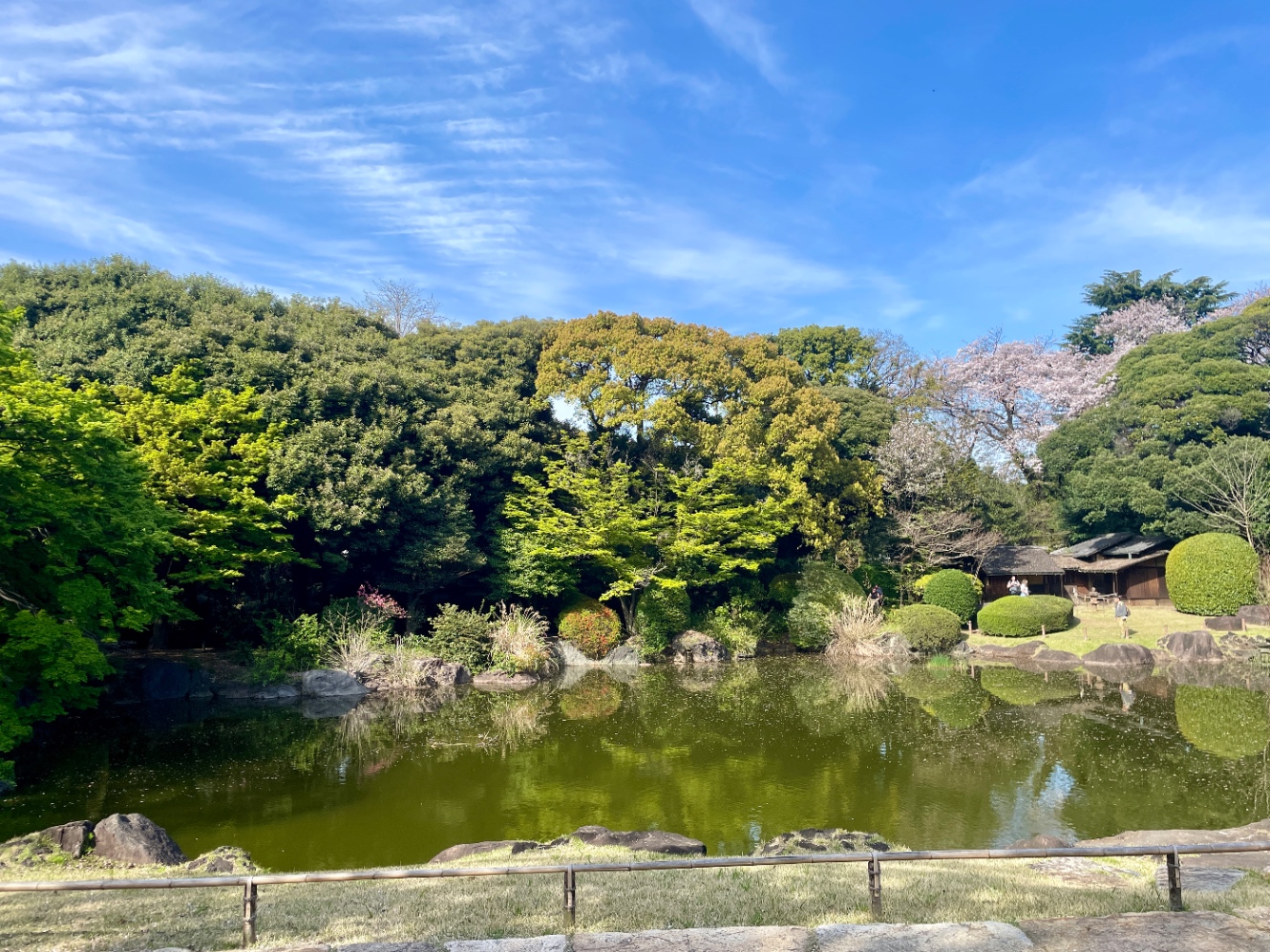 庭園の池の写真