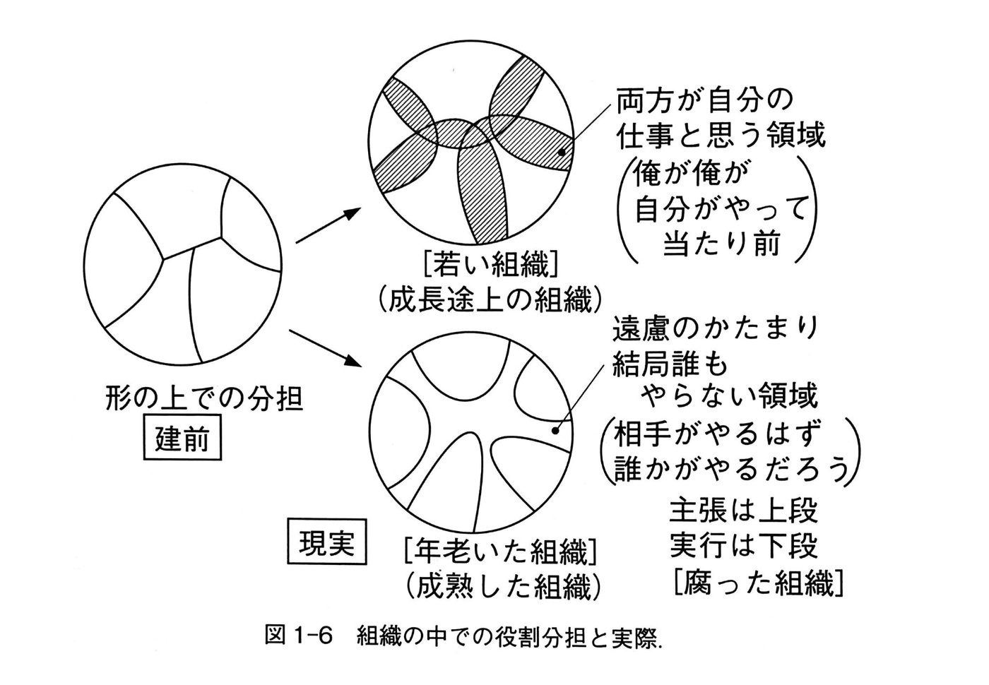 役割期待の不一致が発生すると年老いた組織のように誰もやらない領域が発生する