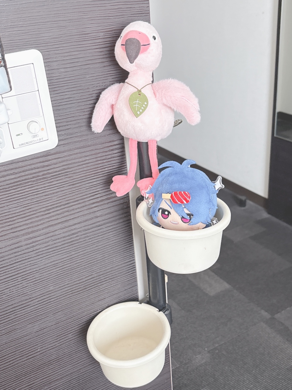 謎カップに入った帝統くんぬいの写真