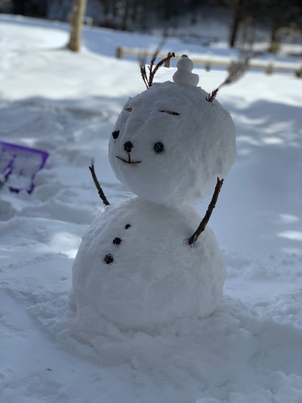 雪だるまの写真。眉毛があり、優しげな表情をしている。