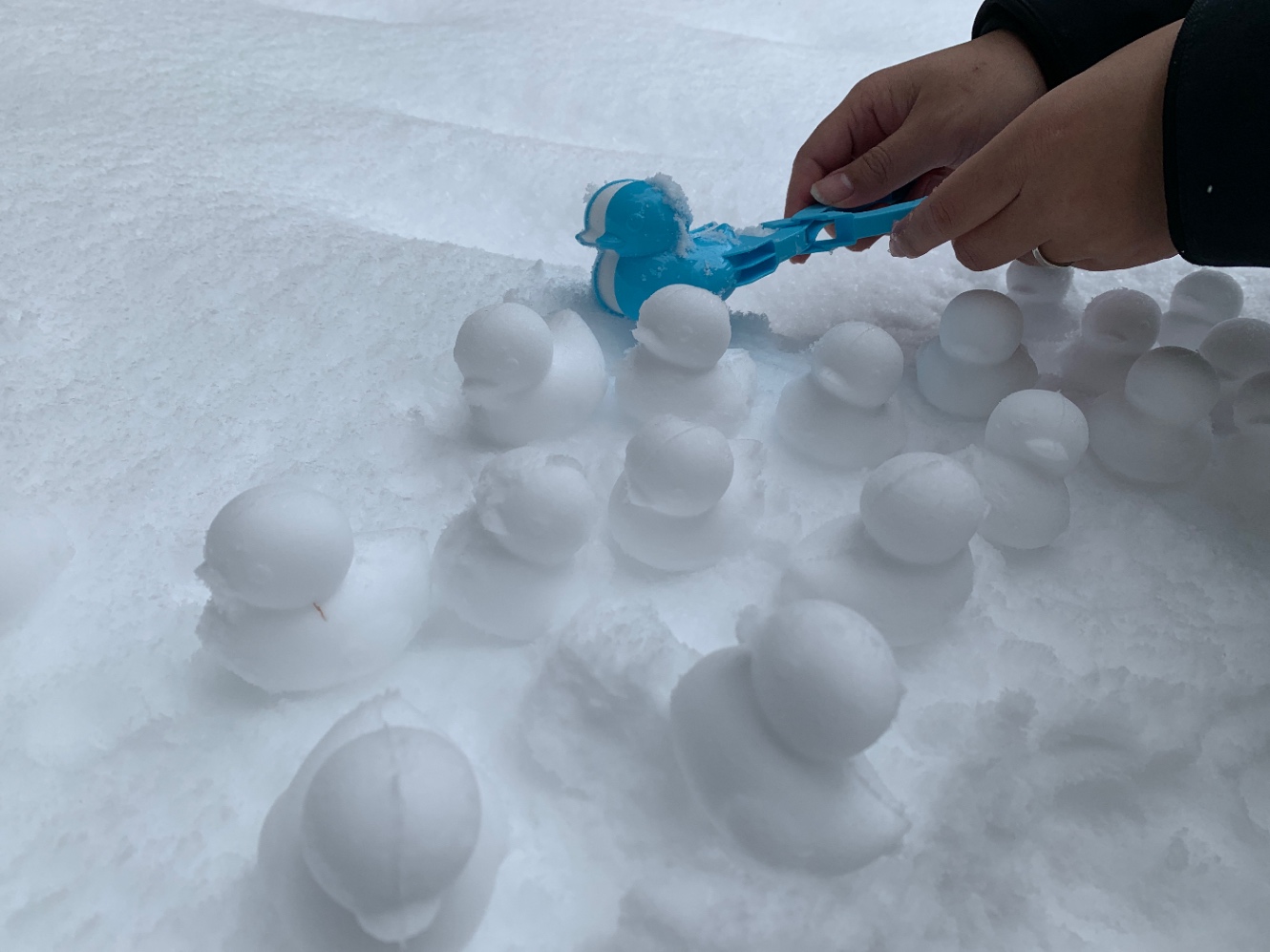 スノーボールメーカーで作られた、小さな手乗りサイズのアヒル型雪玉が、雪の上にたくさん並んでいる様子。