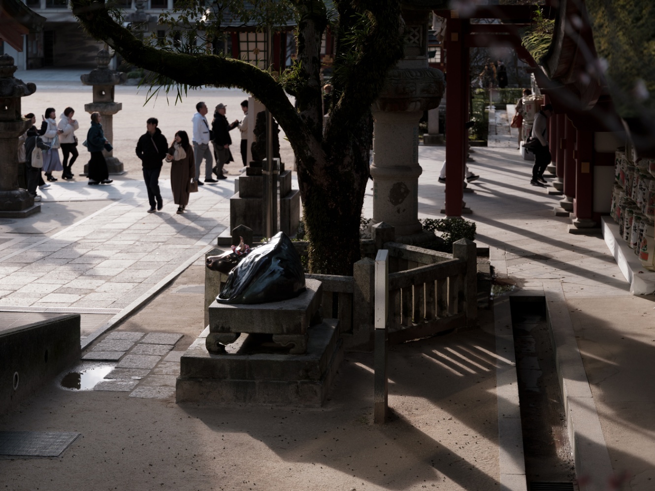 神社の境内。手前に牛の像がある。