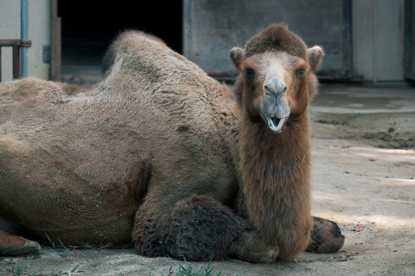 お!?ヒューマンやんけ!!