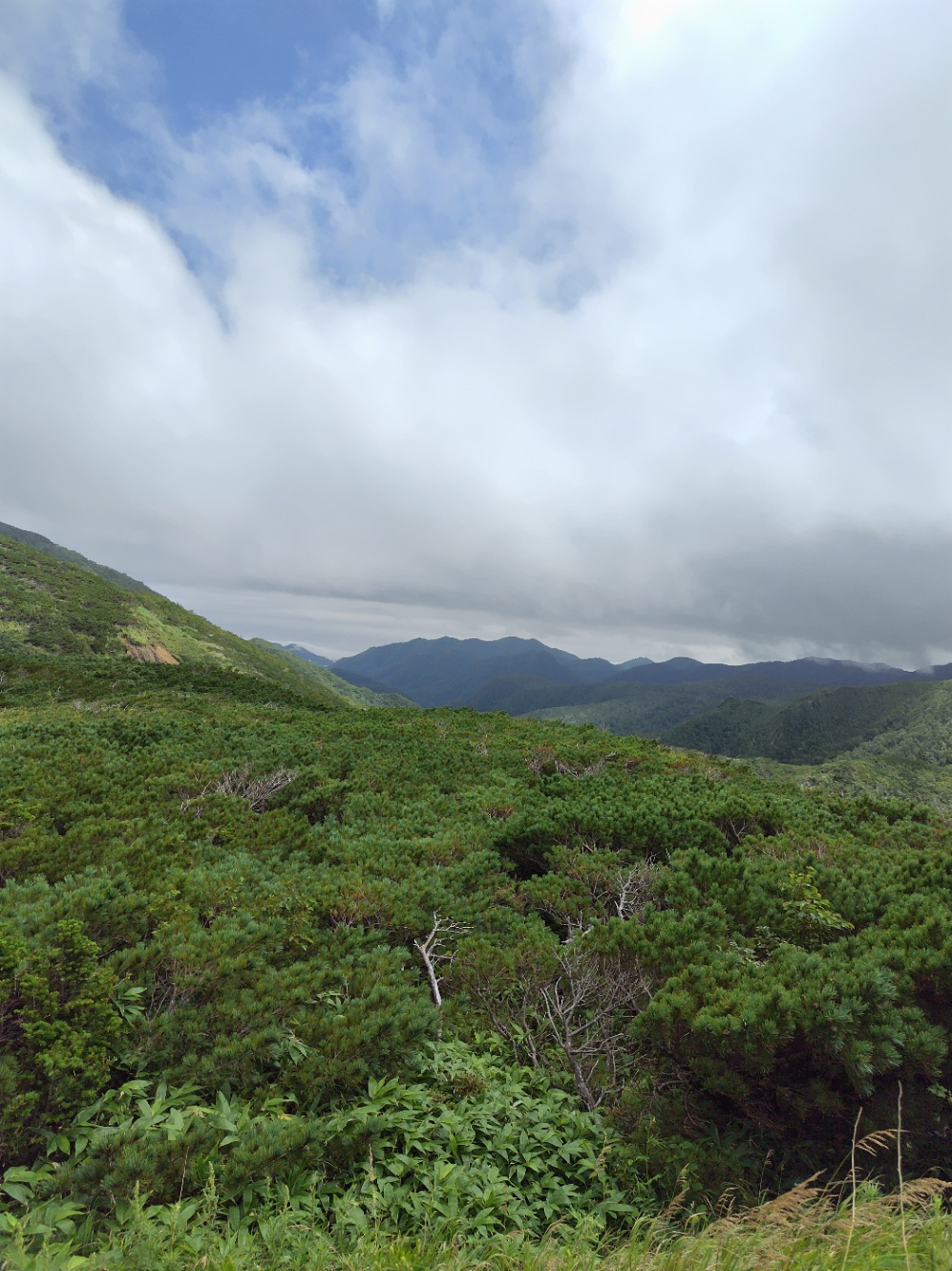 てっぺんの景色。天気がいいと北方領土がみえる。らしい。