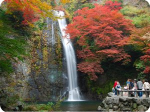 箕面の大滝