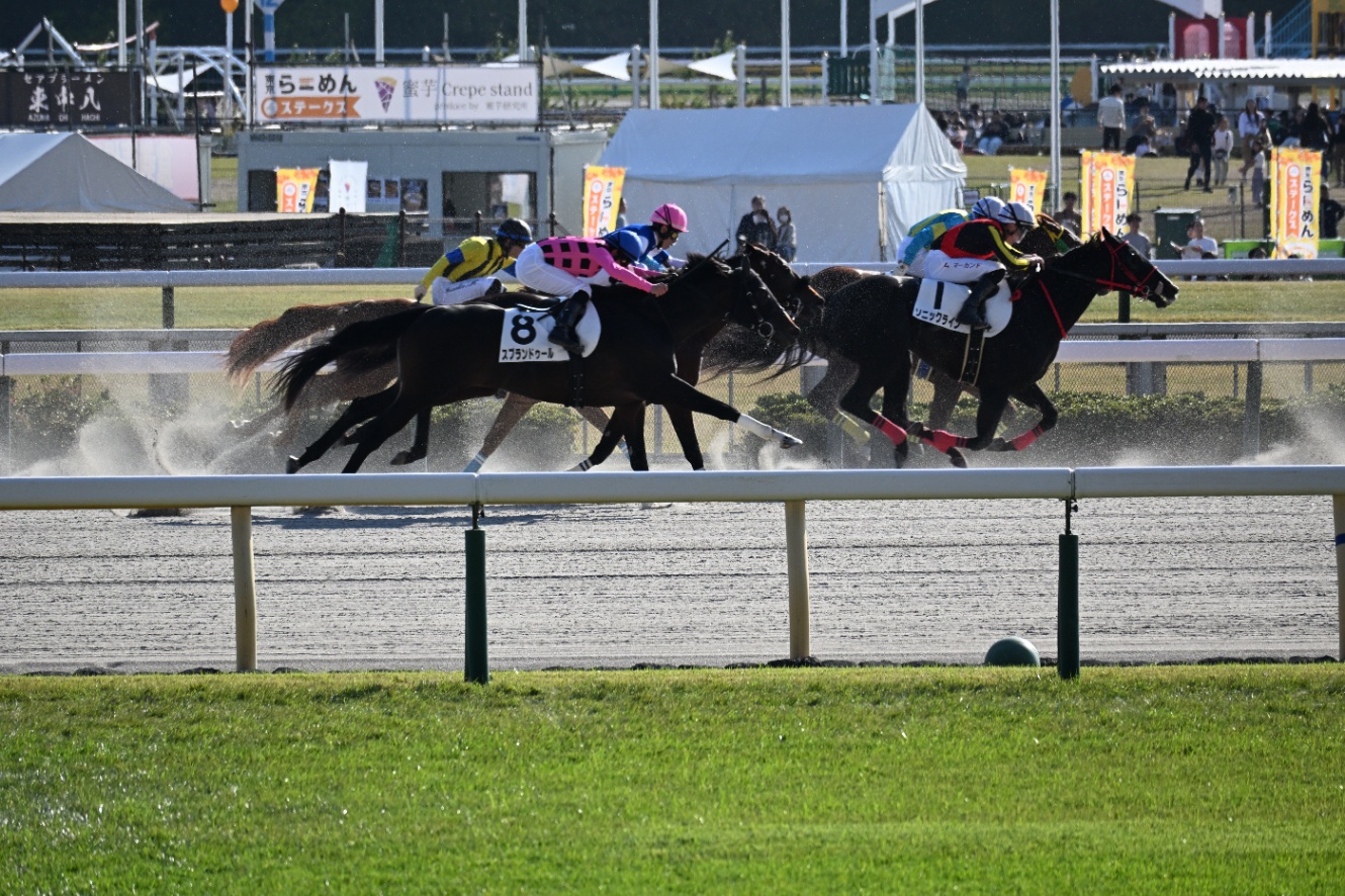 11/15 東京3R 外ラチ前から撮影したダートコース直線の攻防