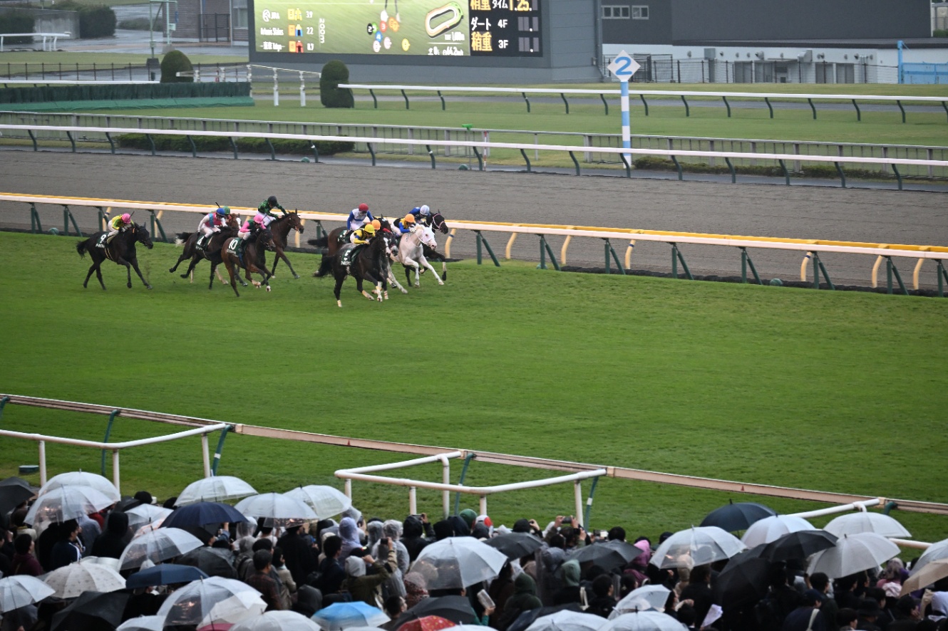 10/25 東京11R アルテミスステークス スマートシート3階（たしか）から撮影した芝コース