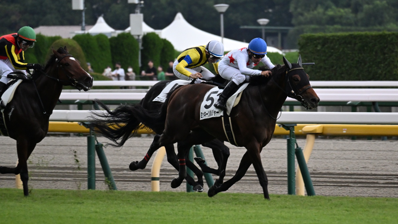 10/19 東京7R ミッキーソルジャー（横山典）が芝コースを走る