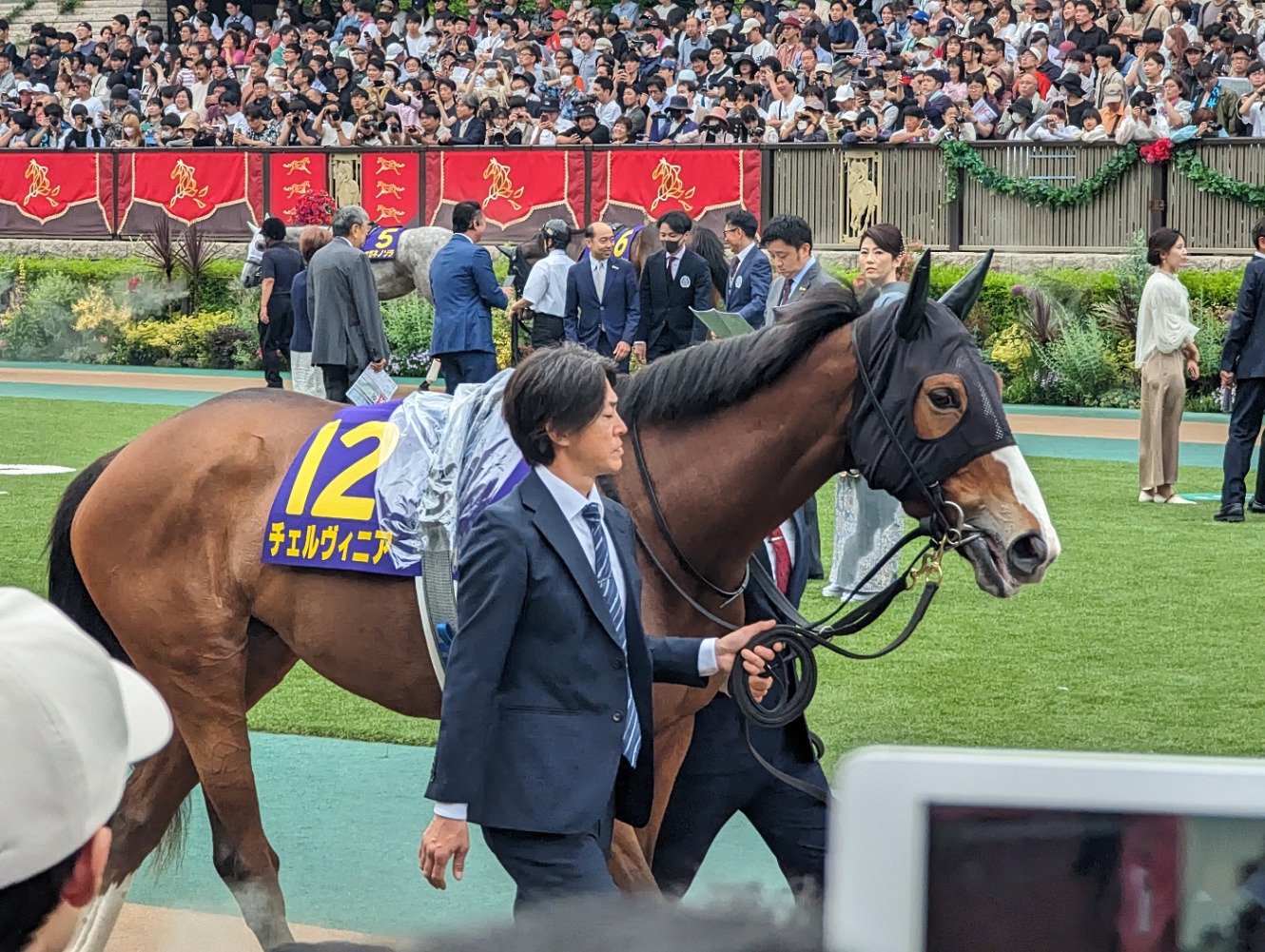 2024年オークスのパドックでのチェルヴィニア