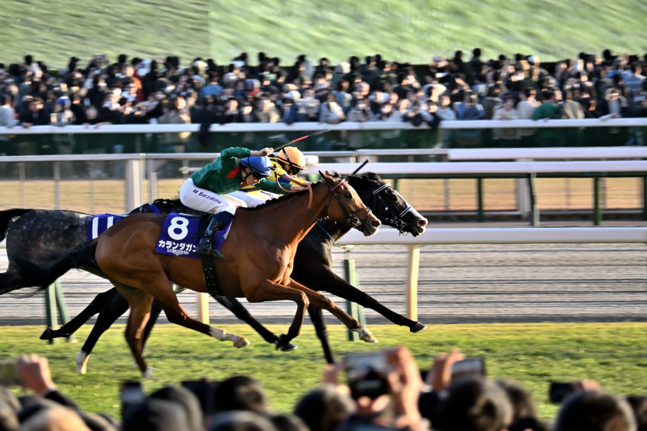 10/30 東京12R ジャパンカップ スマートシート1階最前列から撮影したカランダガンとマスカレードボール