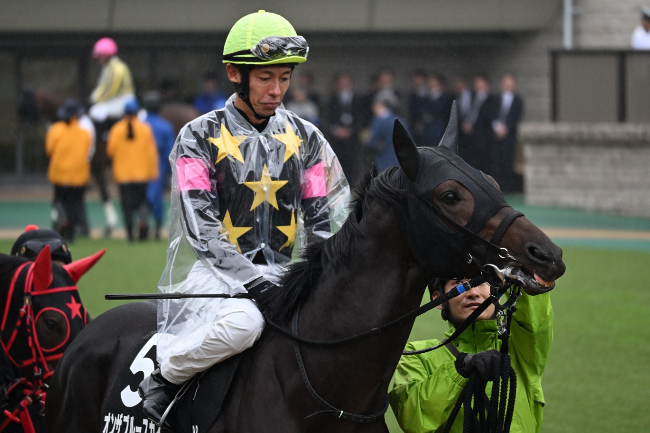 10/25 東京9R精進湖特別でオンザブルースカイに騎乗する和田竜二騎手