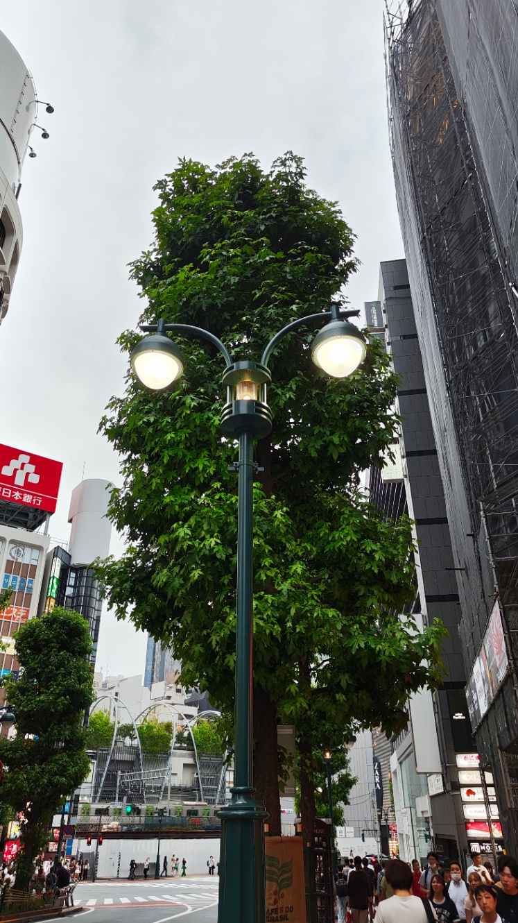 顔に見えた街灯