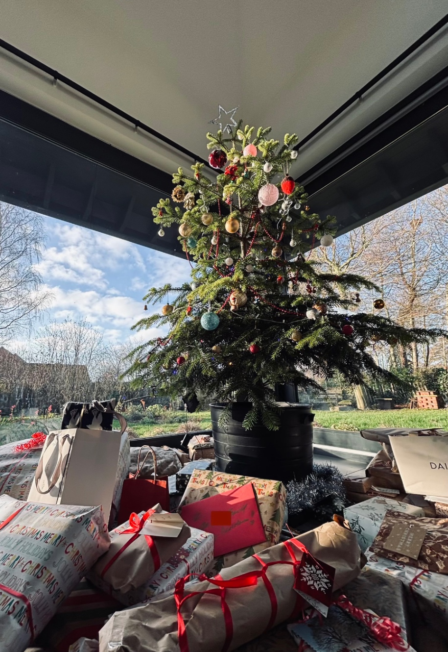 色とりどりのオーナメントで飾られた鉢植えのクリスマスツリー。周りにはたくさんのプレゼントが置かれている。