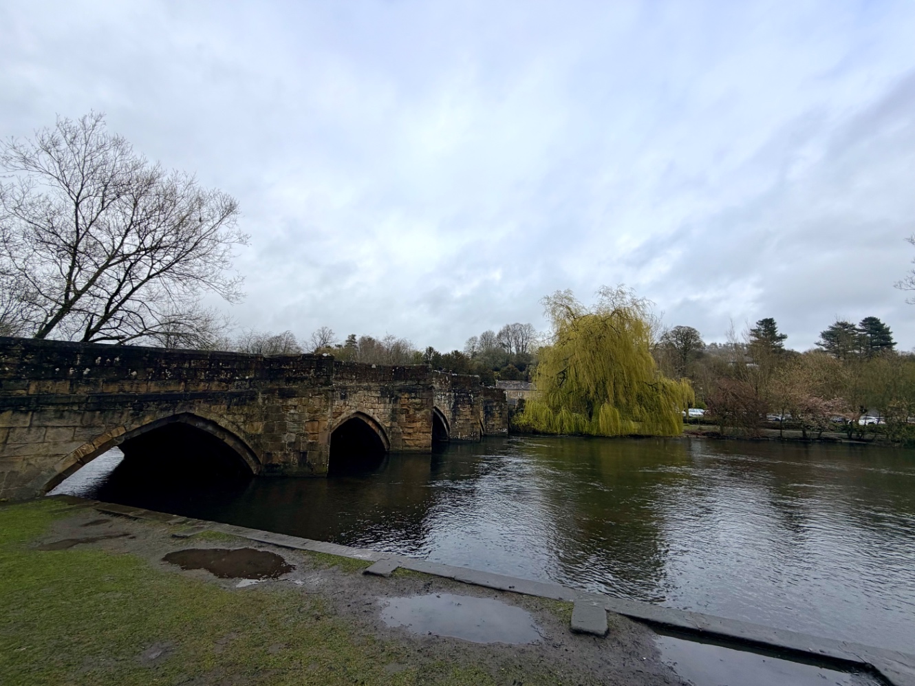 石橋がかかる川辺に揺れるイエロウグリーンの枝垂れ柳。