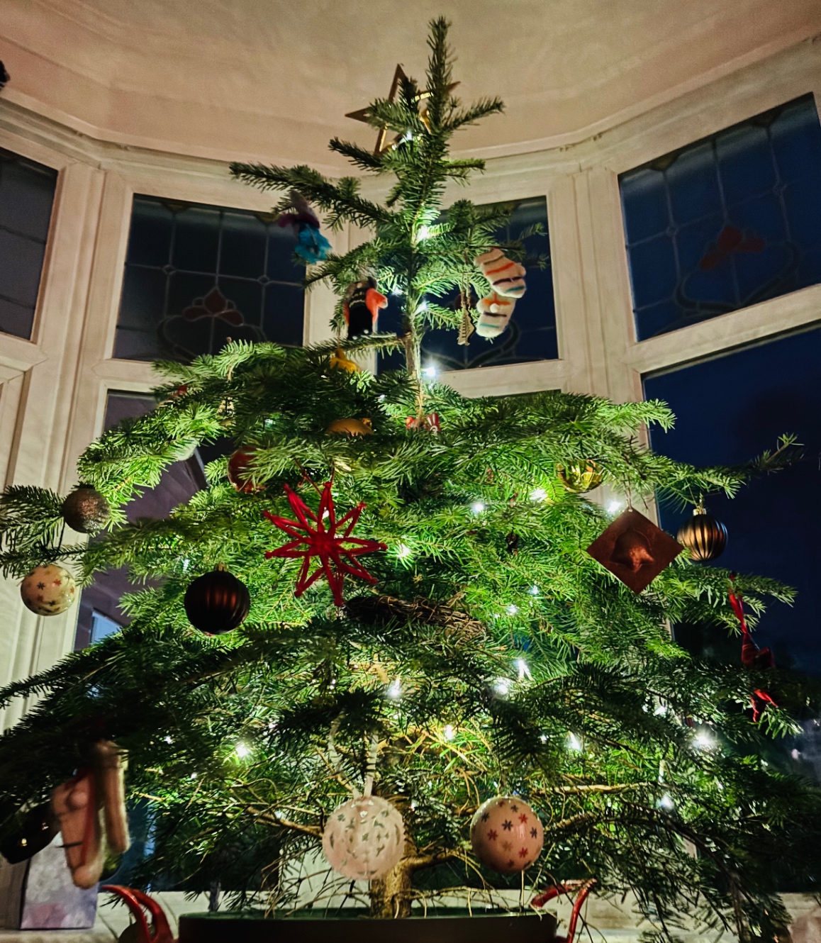 豆電球でライトアップされた鉢植えのクリスマスツリー。