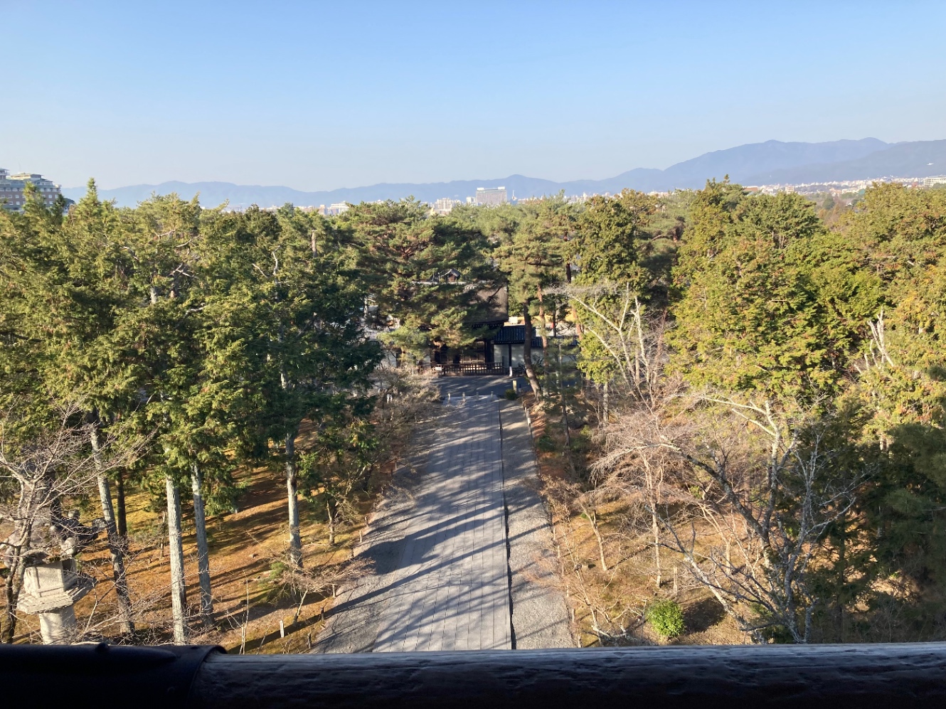 三門から眺める参道と木々、遠くに京都の街並みと山々。