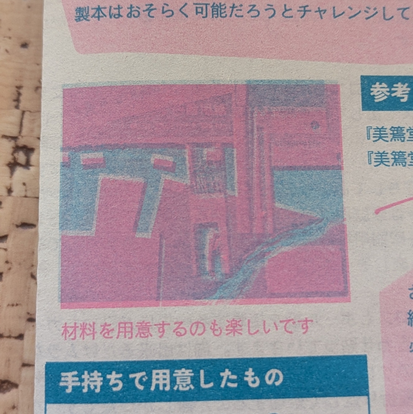 二色刷りの写真。何が写っているかわからないくらいの失敗