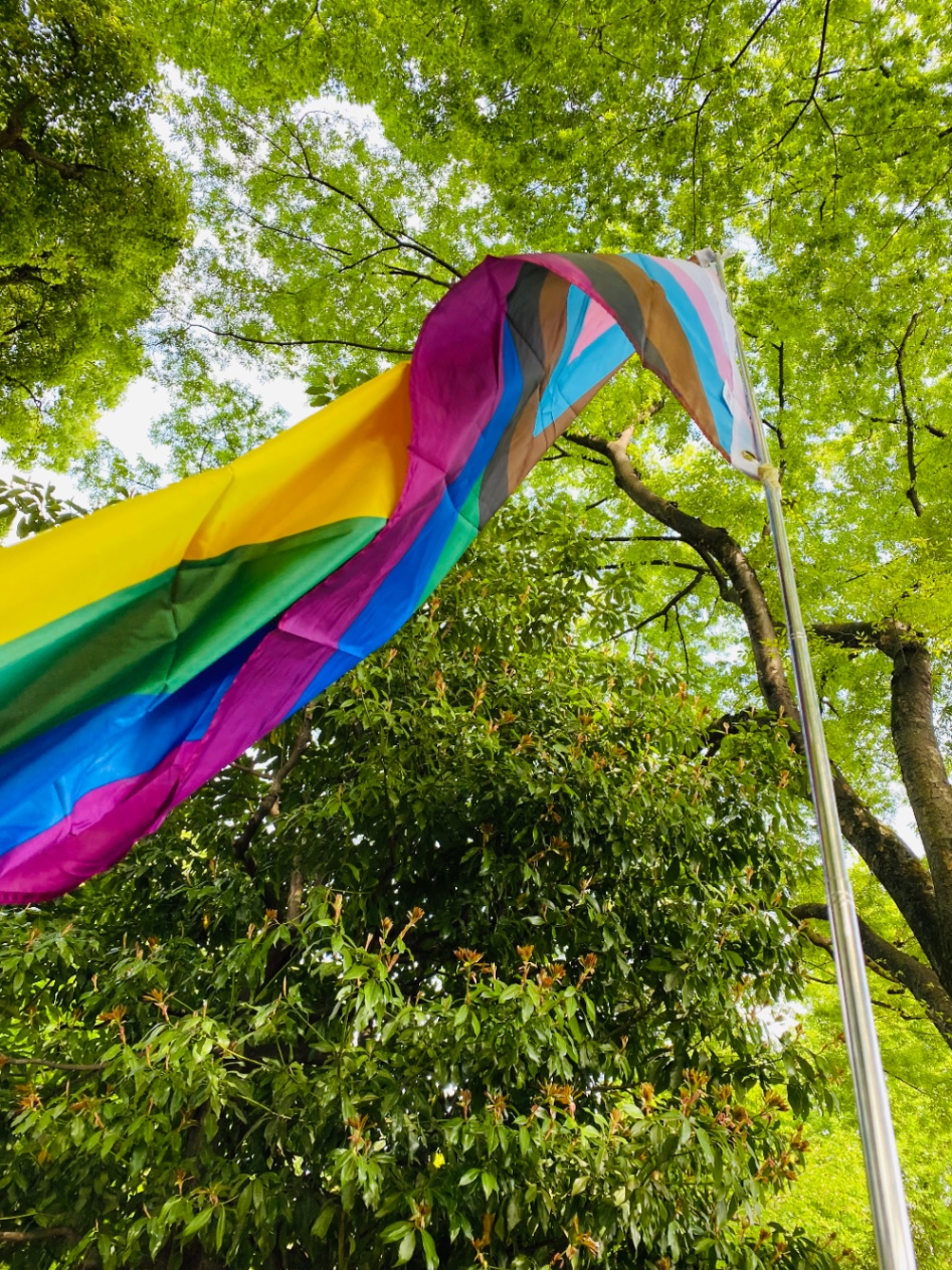 翻るプログレスプライドフラッグの写真