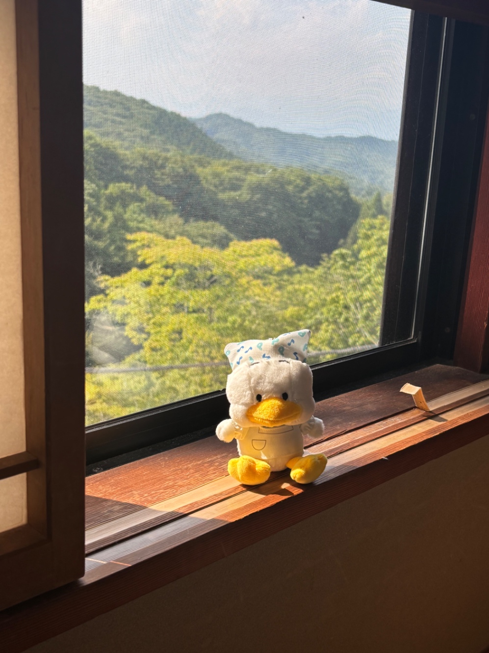 窓から見える風景とペックル