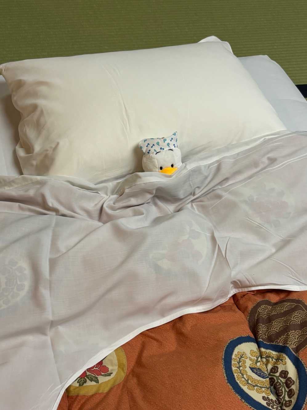 敷布団に入るおペク