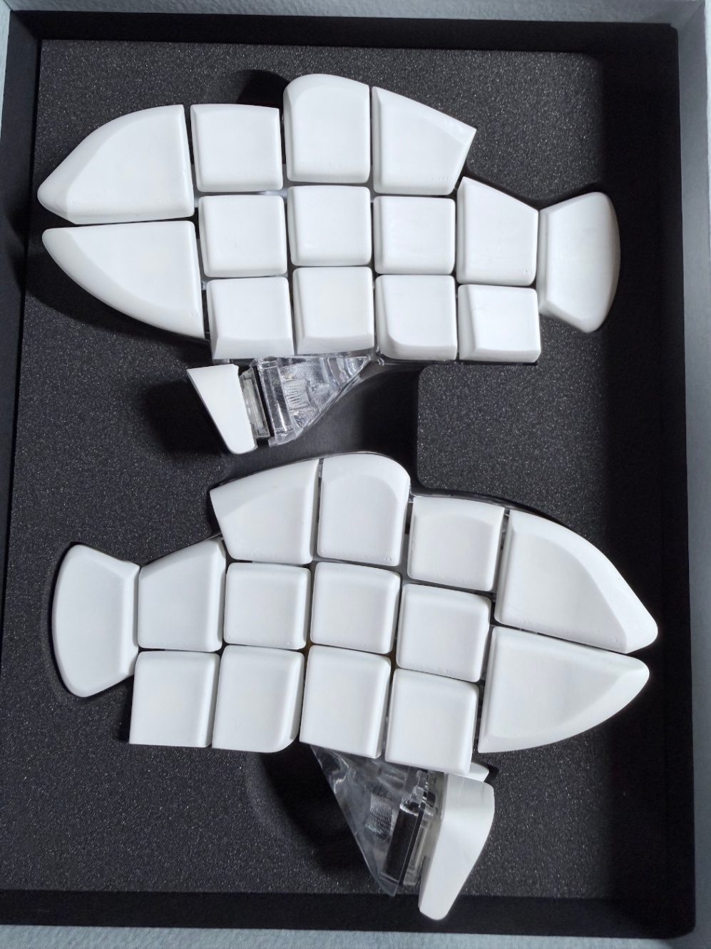 到着したてのおさかなキーボード