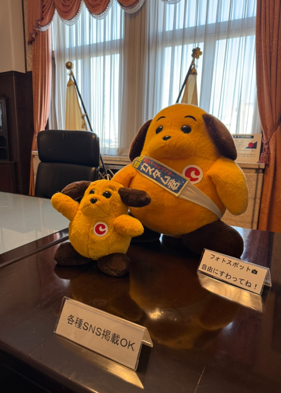 一般公開された保存室