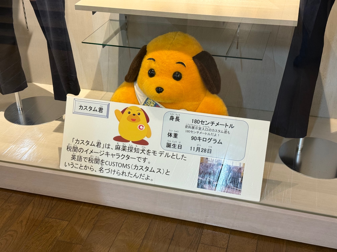 カスタム君のぬいぐるみとプロフィール