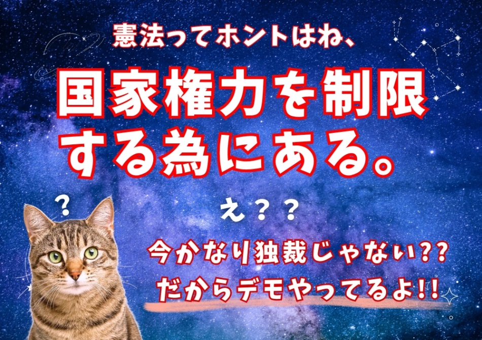 宇宙の背景に、左下にハテナを頭に乗せた猫がいる。プラカード画像。  以下テキスト。  憲法ってホントはね、国家権力を制限する為にある。 え？？ 今かなり独裁じゃない？？ だからデモやってるよ！！