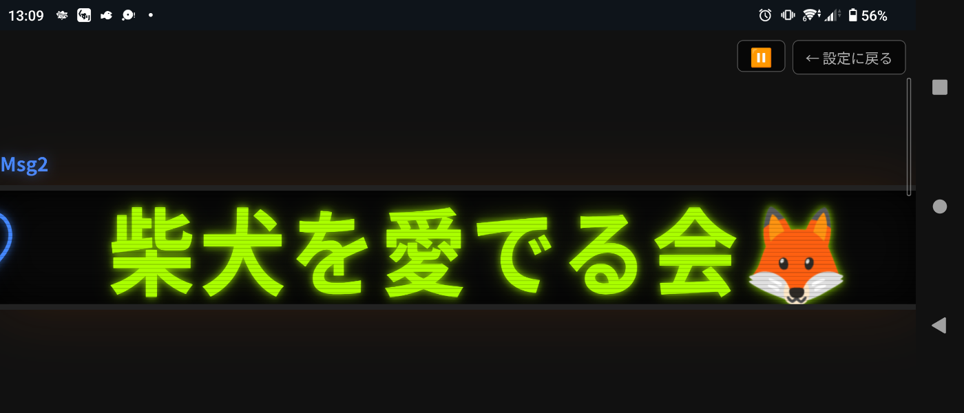 柴犬を愛でる会🦊
