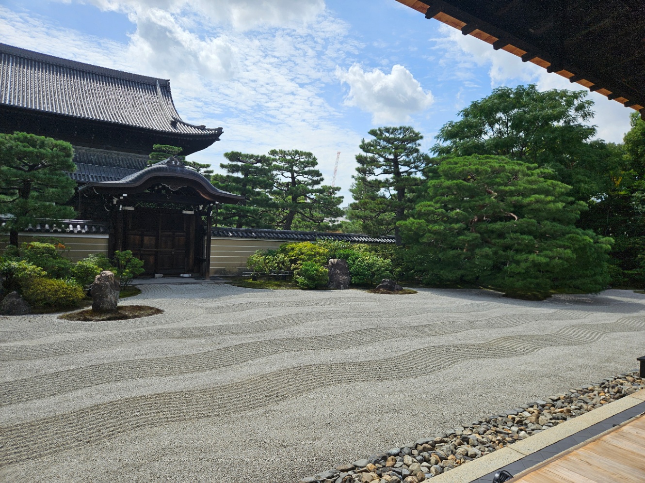 建仁寺の本坊の庭の写真。右手に赤松が植わっていて、砂利で波模様が描かれている。