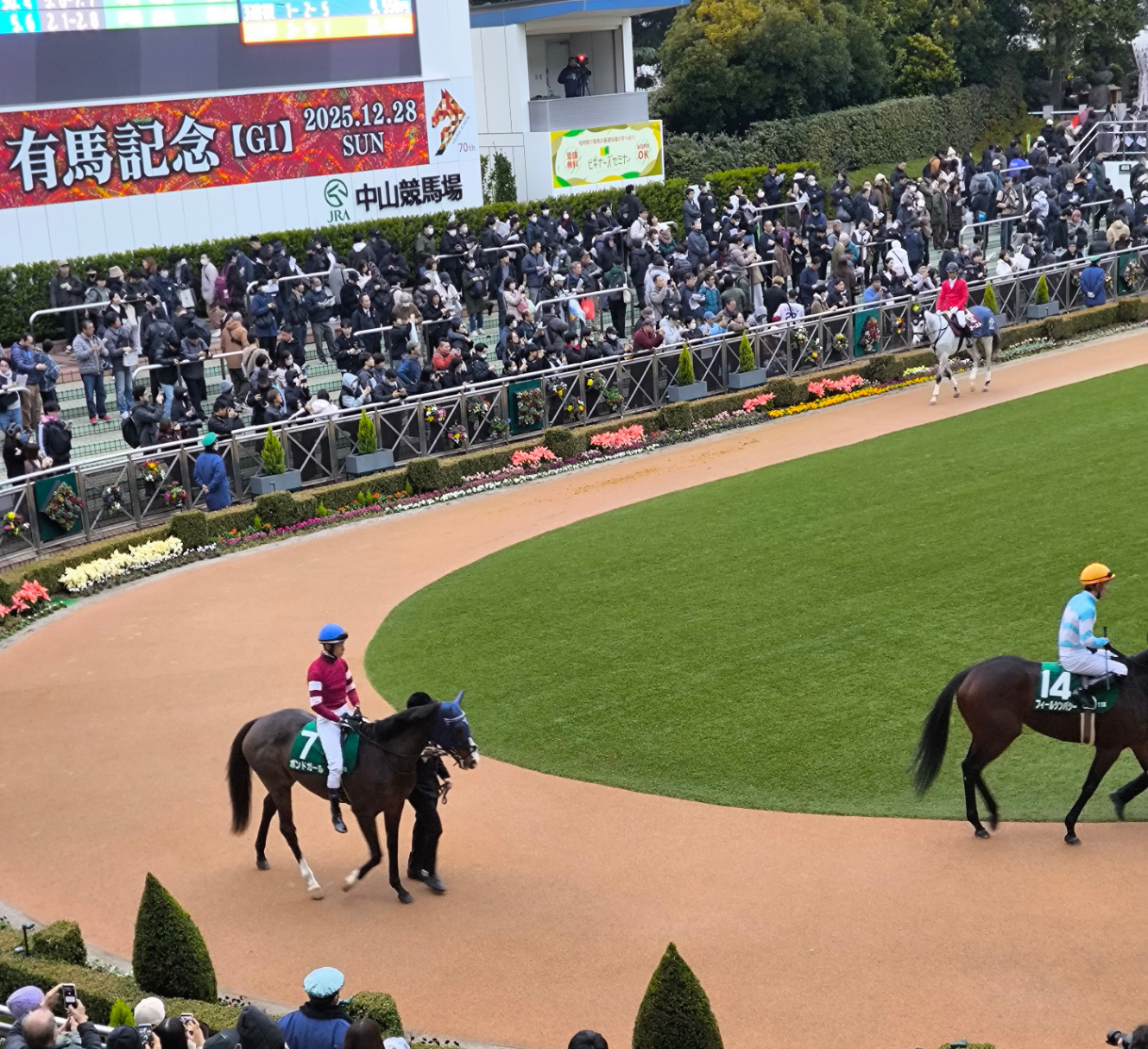 ボンドガール(ターコイズS)