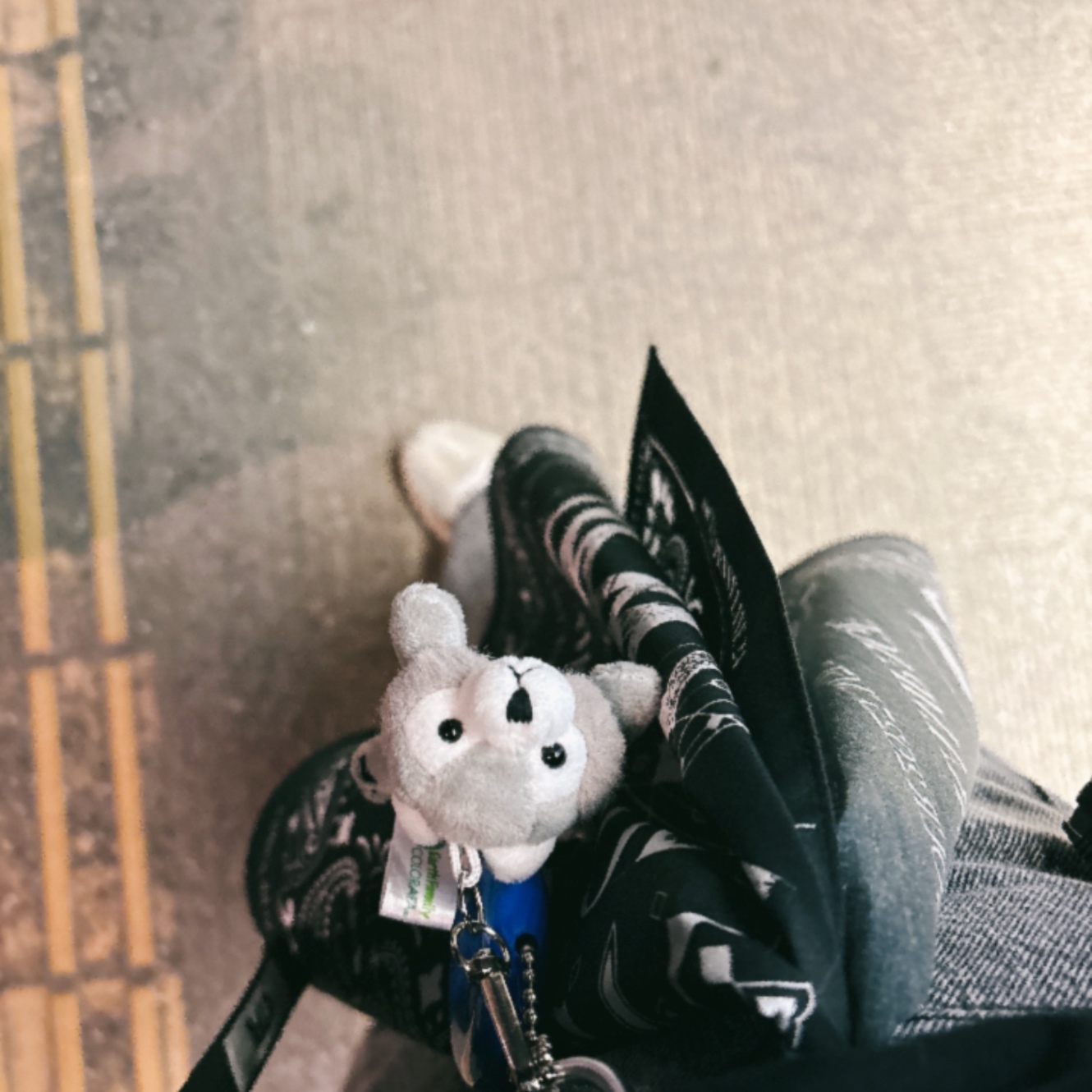 狼のマスコットの写真