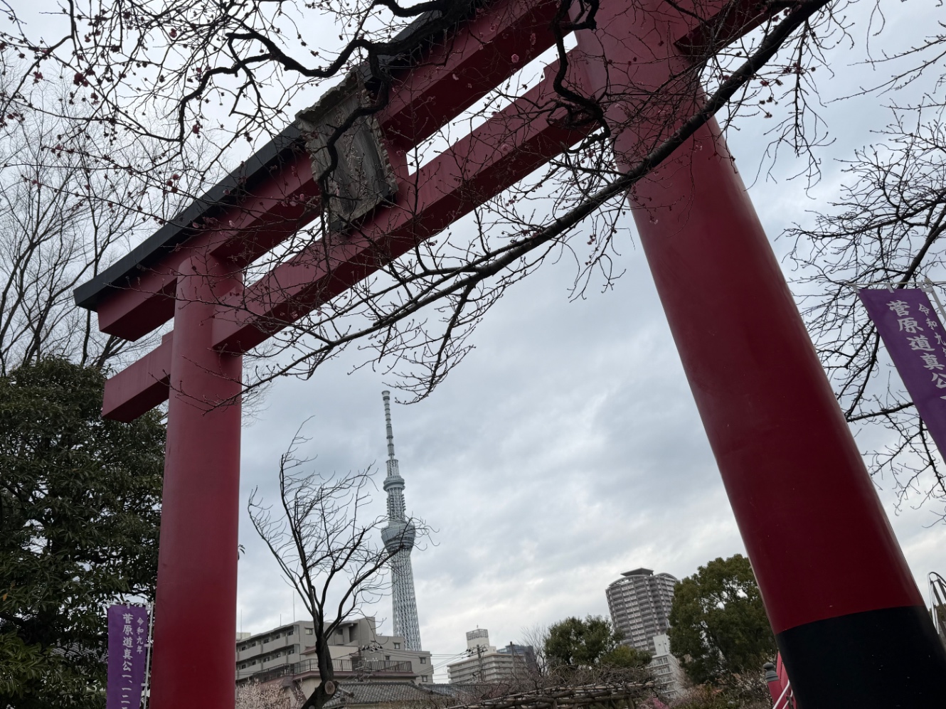 亀戸天神社の鳥居越しに見るスカイツリー