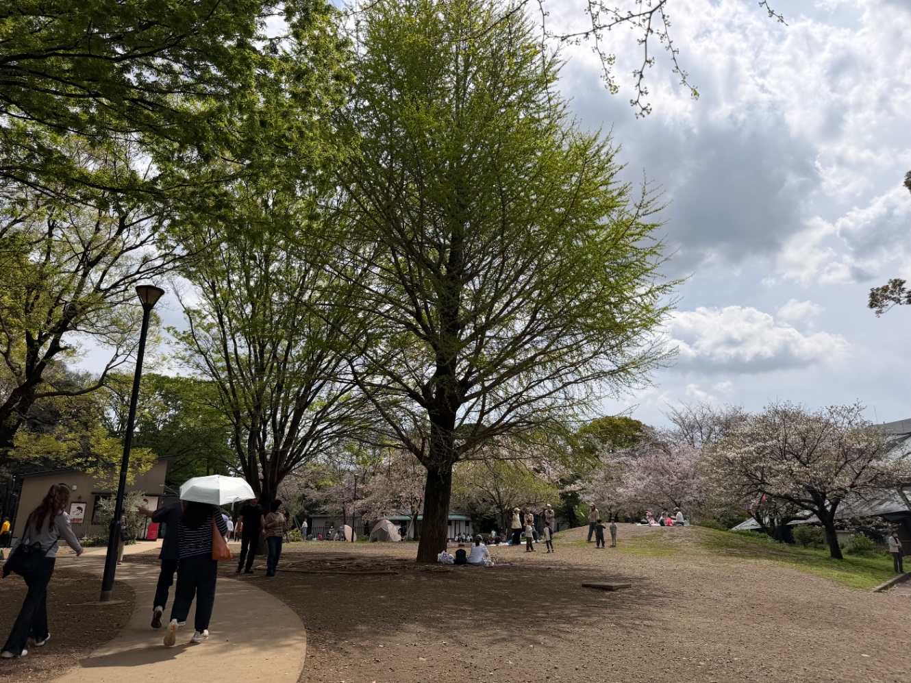飛鳥山公園の広場
