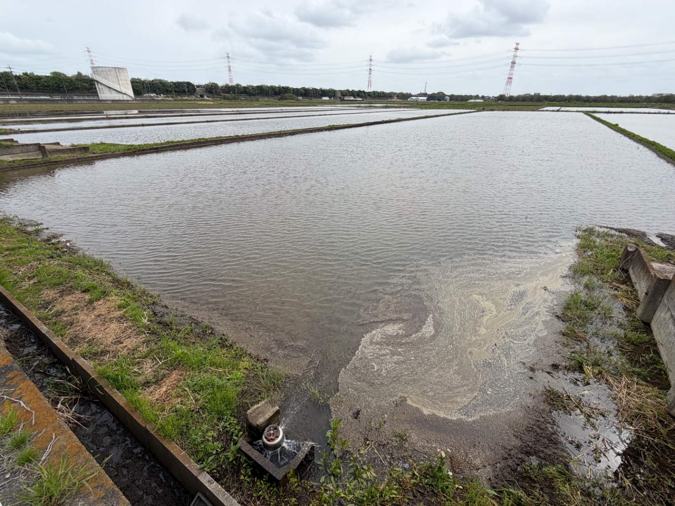 田んぼに水が張られている