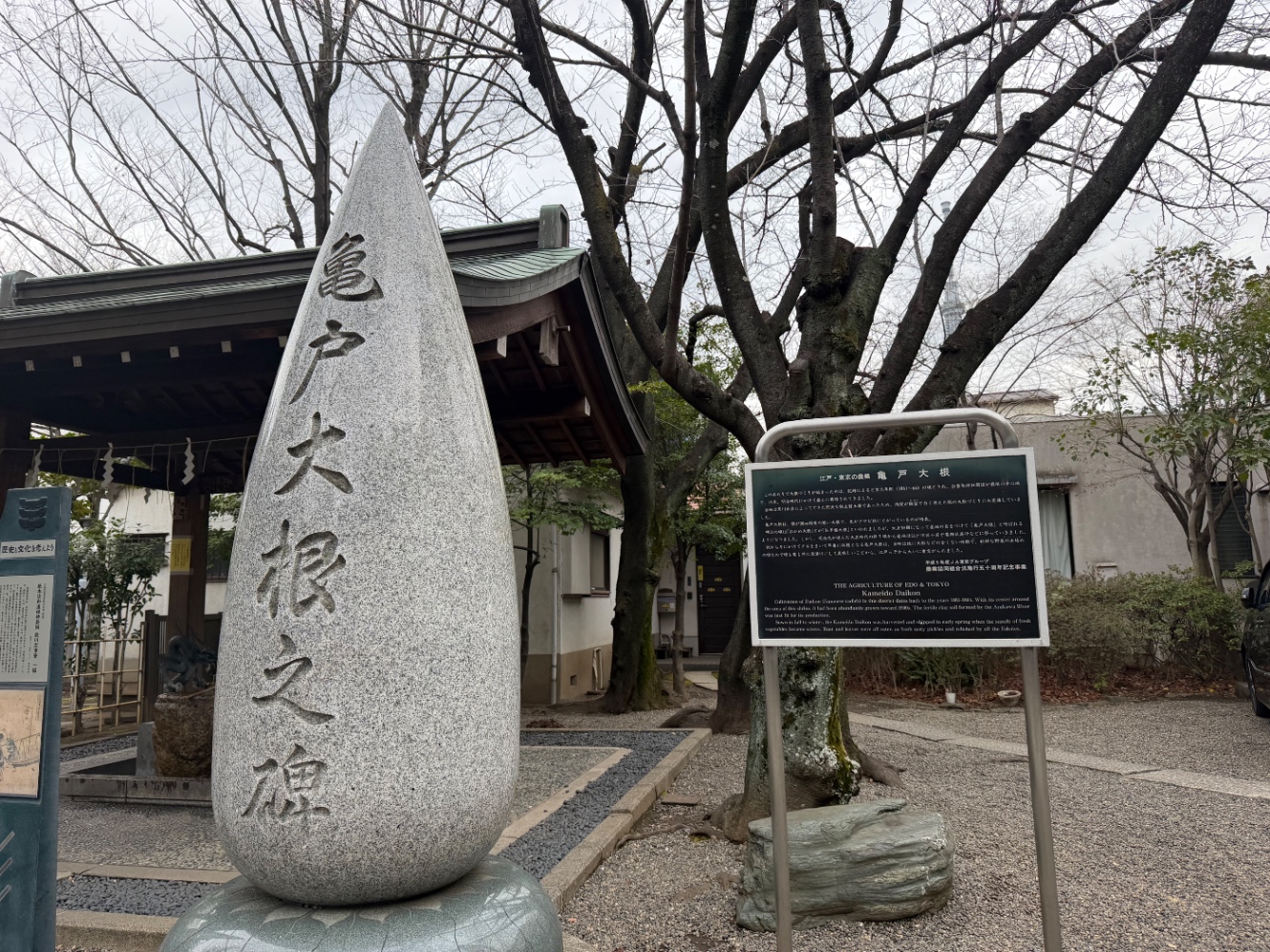 亀戸香取神社の境内にある、亀戸大根之碑 大根の形をしており、上側が尖っている