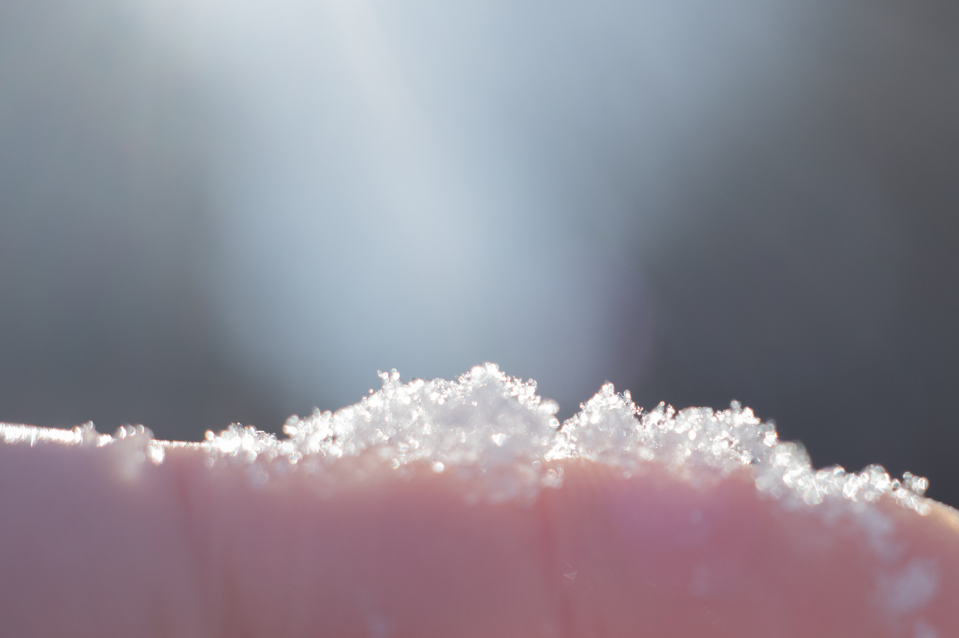指の上に雪が乗っているものの接写